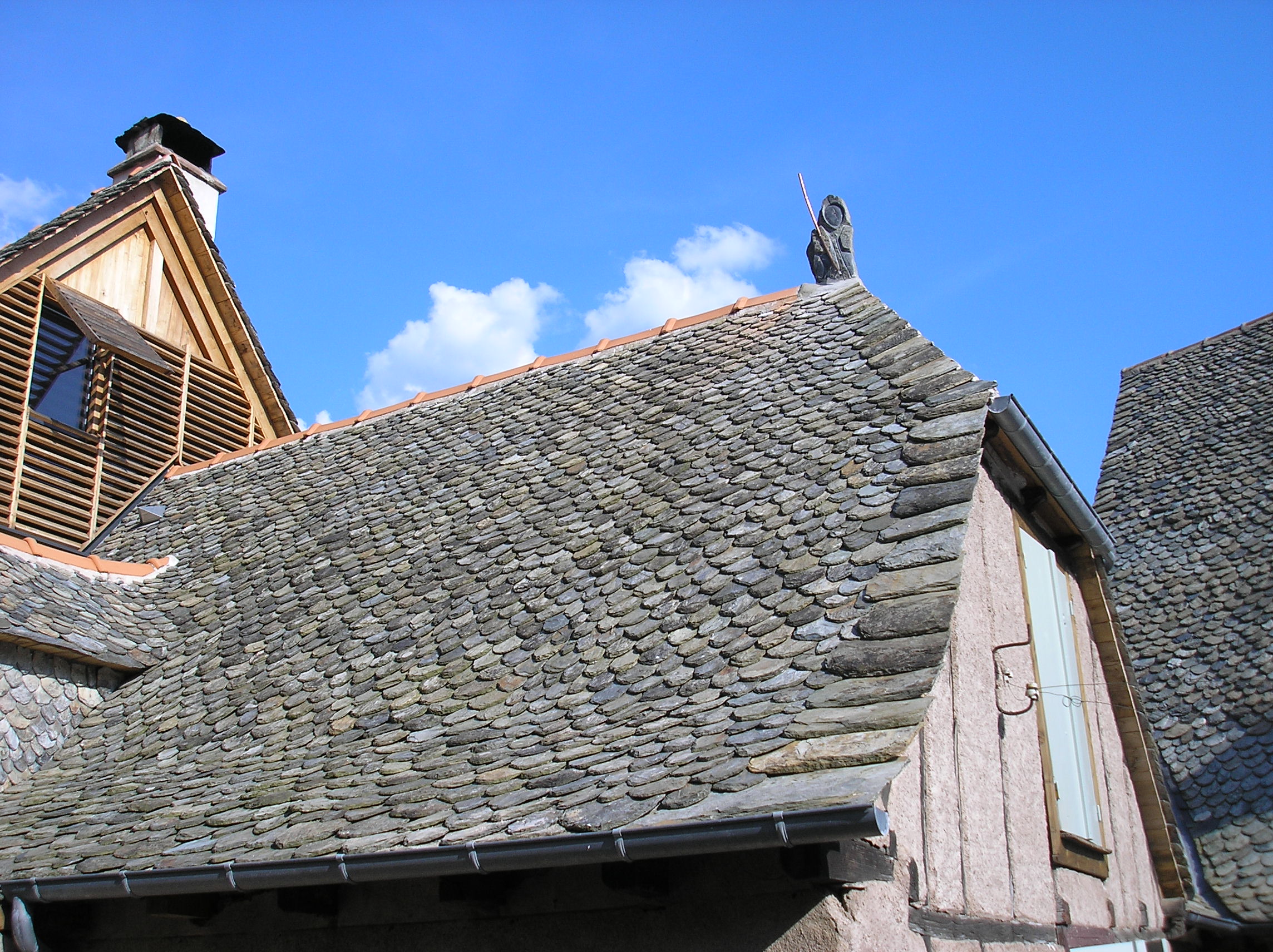 Pèlerin sur le toit
